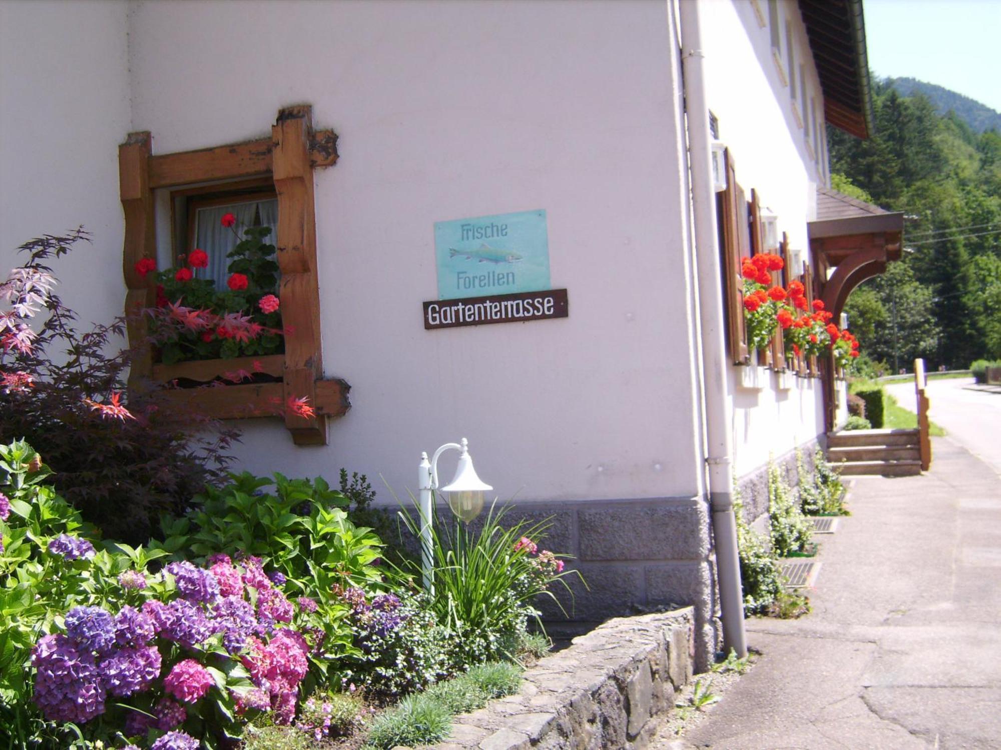 Gasthaus Zur Erle Зимонсвальд Экстерьер фото